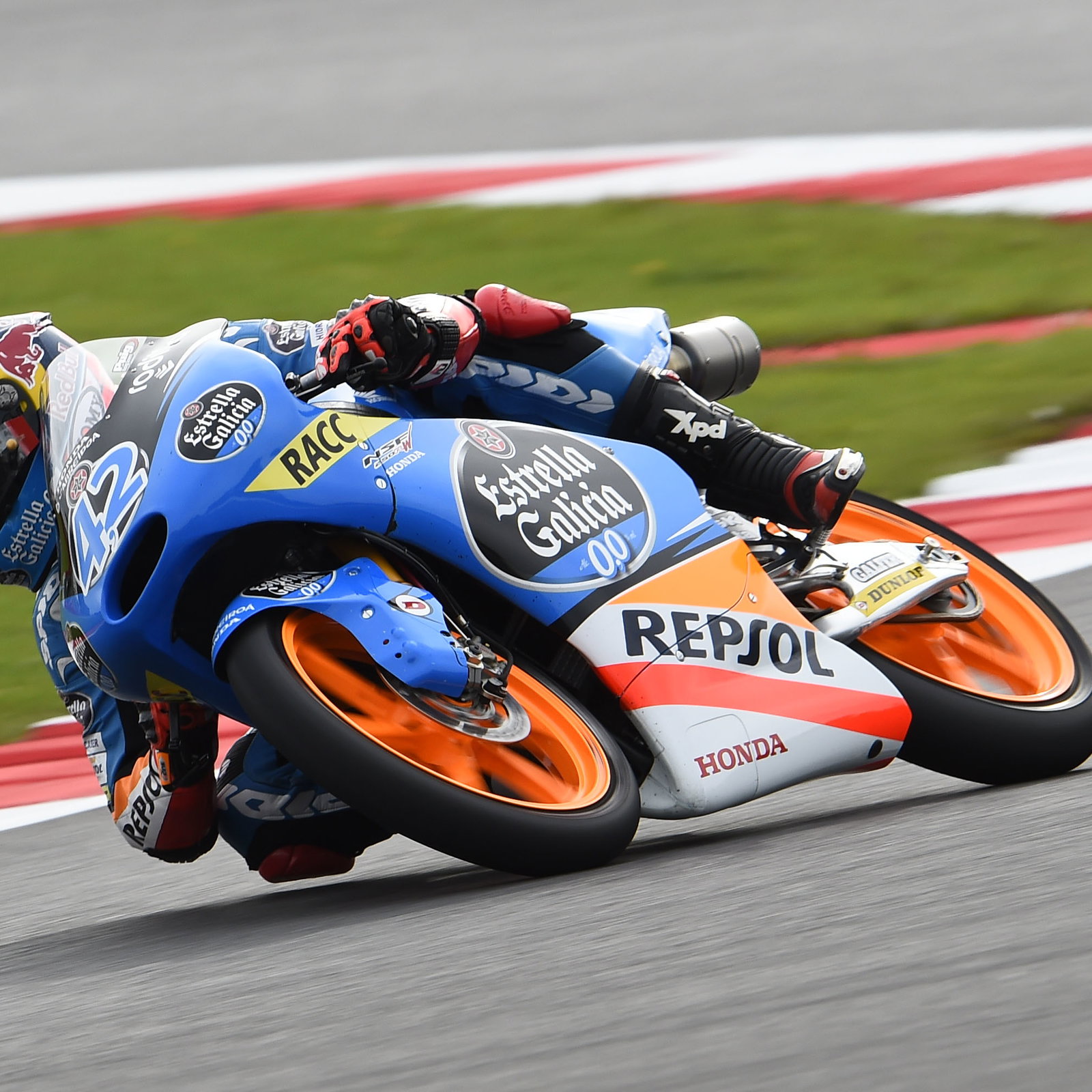 Japanese Moto3, Motegi - Qualifying
