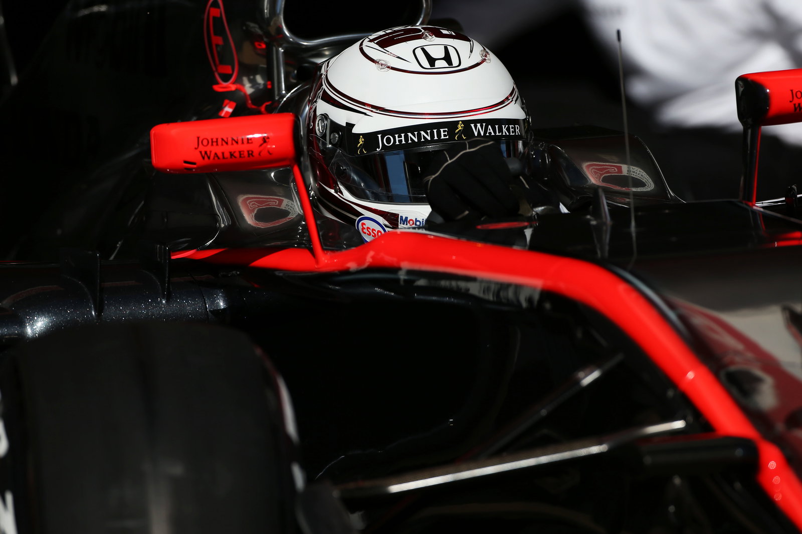 F1 Australian Grand Prix: Magnussen prepared to replace Alonso in Melbourne
