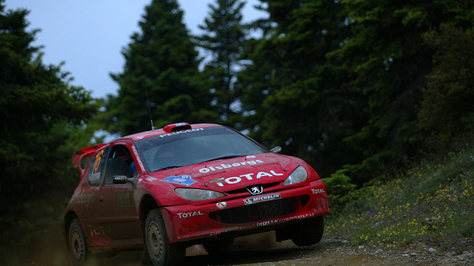 Daniel Carlsson / Mattias Andersson - Bozian / Peugeot 206