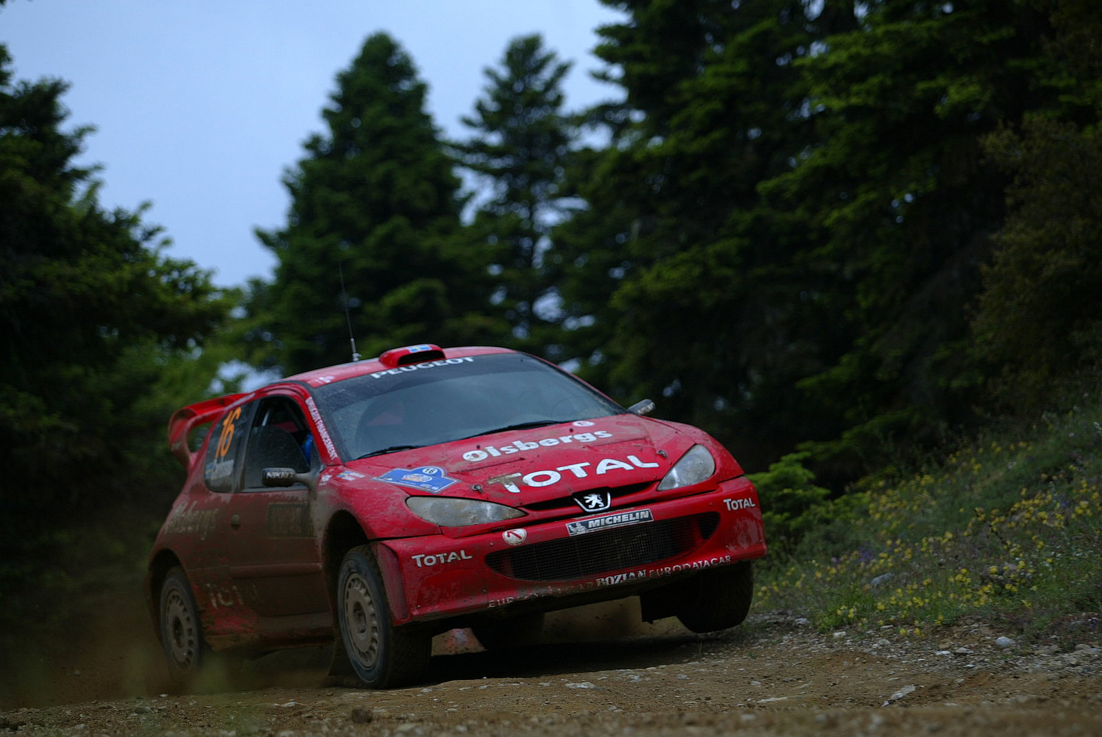 Daniel Carlsson / Mattias Andersson - Bozian / Peugeot 206