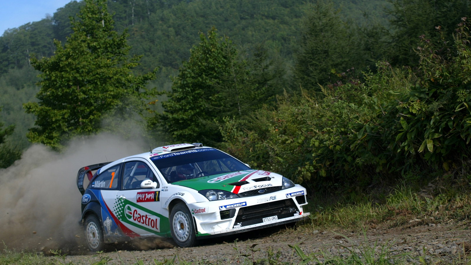 Markko Martin / Michael Park - Ford Focus RS WRC04