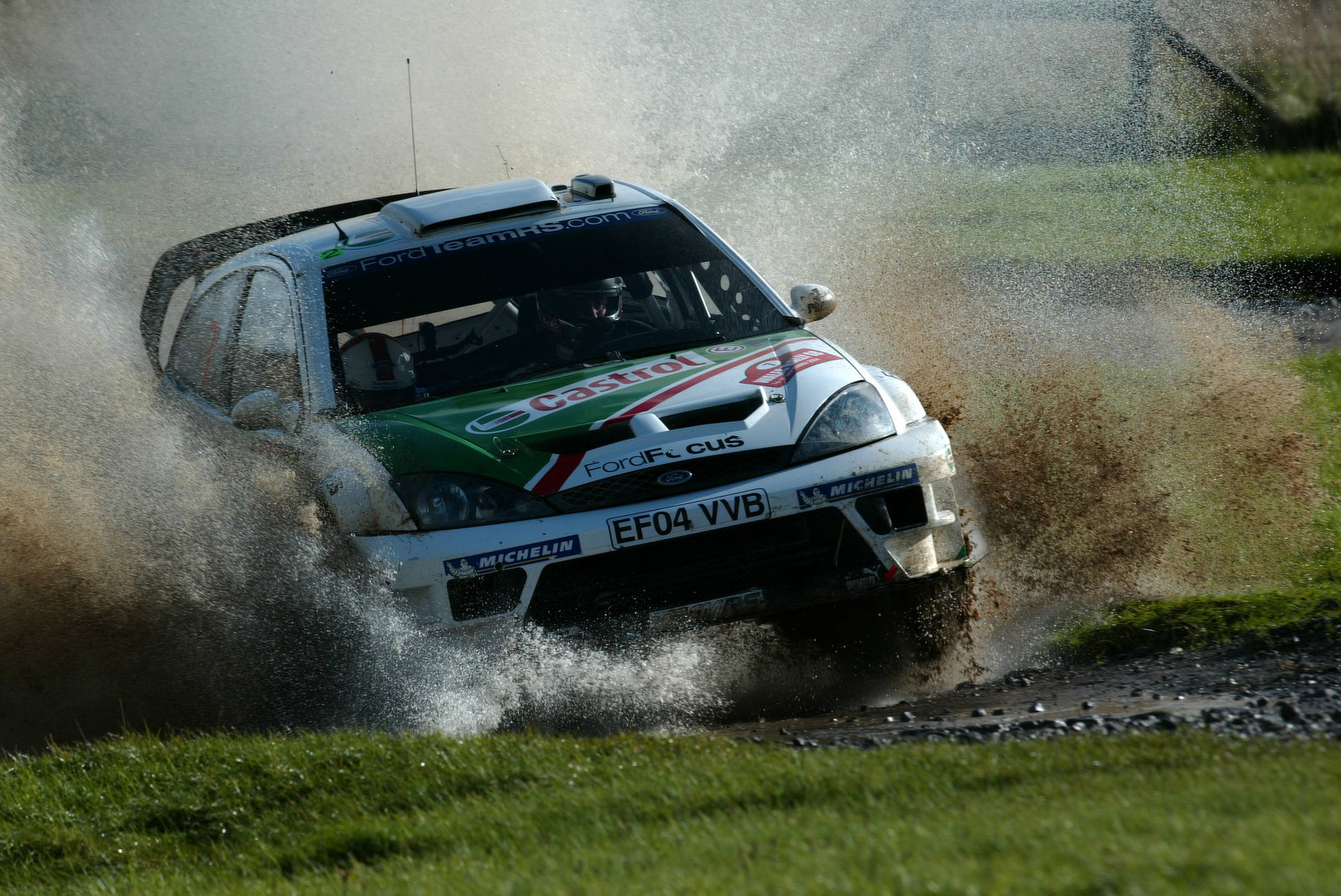 Markko Martin / Michael Park - Ford Focus RS WRC04