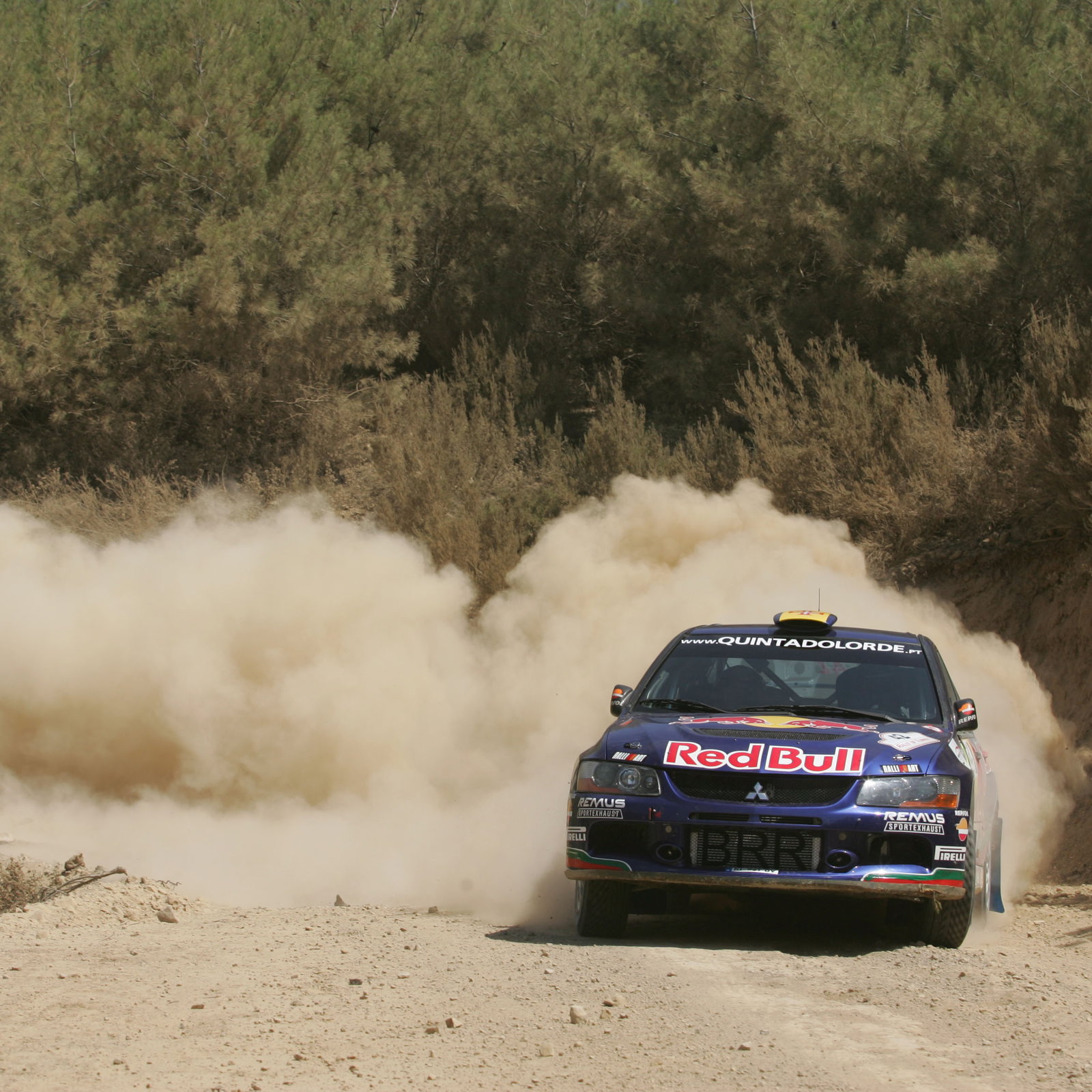 Bernardo Sousa (P) Carlos Magalhaes (P) Mitsubishi Lancer Evo IX, Red Bull Rallye Team