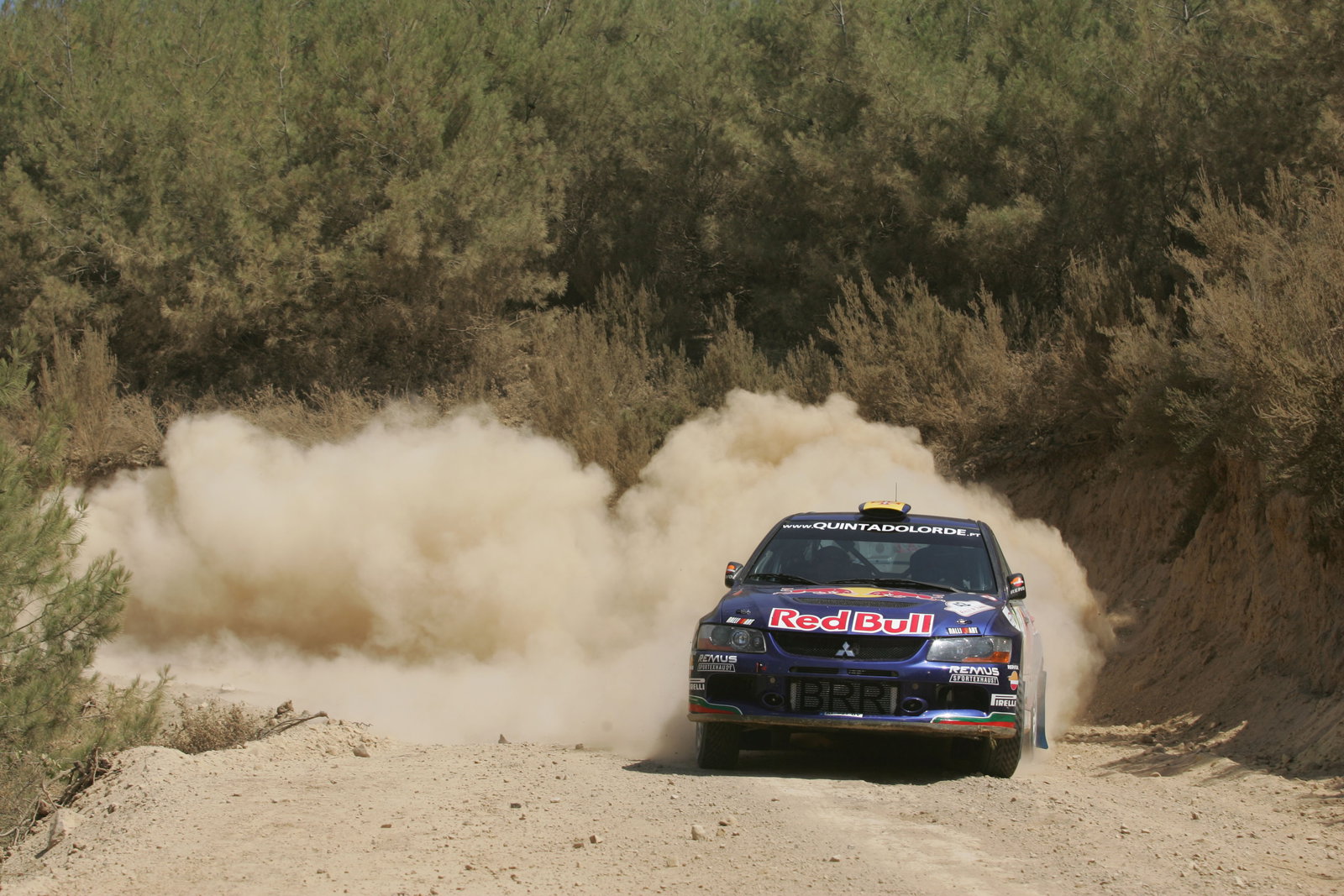 Bernardo Sousa (P) Carlos Magalhaes (P) Mitsubishi Lancer Evo IX, Red Bull Rallye Team