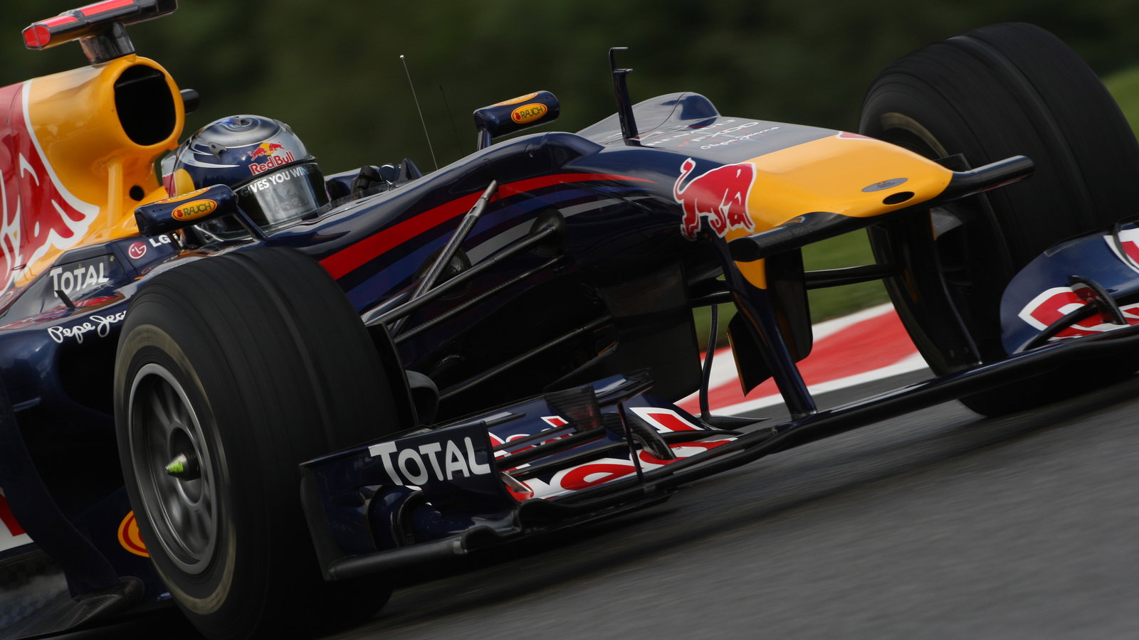 Friday Practice 2, Sebastian Vettel (GER), Red Bull Racing, RB6