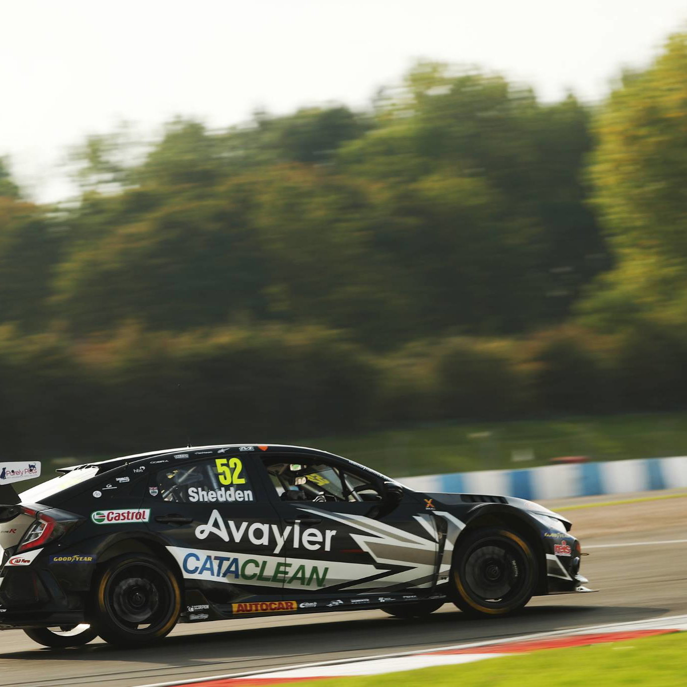 iGordon Shedden (GBR) - Team Dynamics Honda Civic Type R