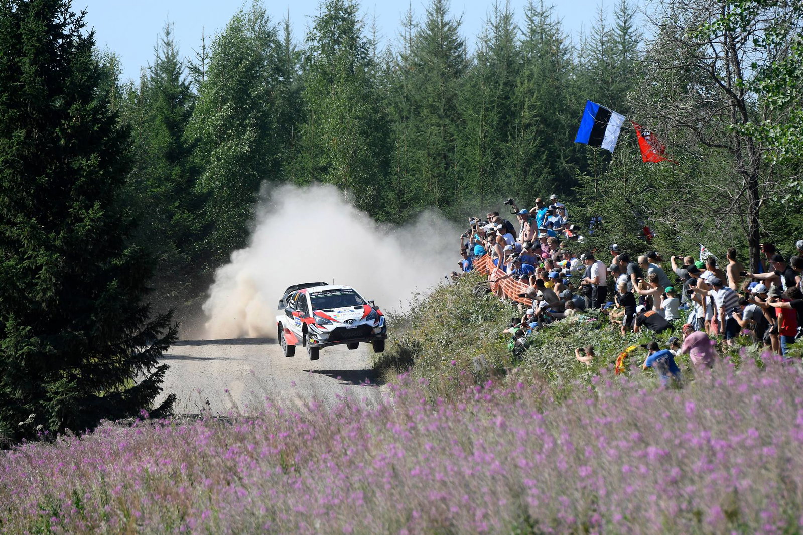 Tanak mendekati kemenangan Reli Finlandia