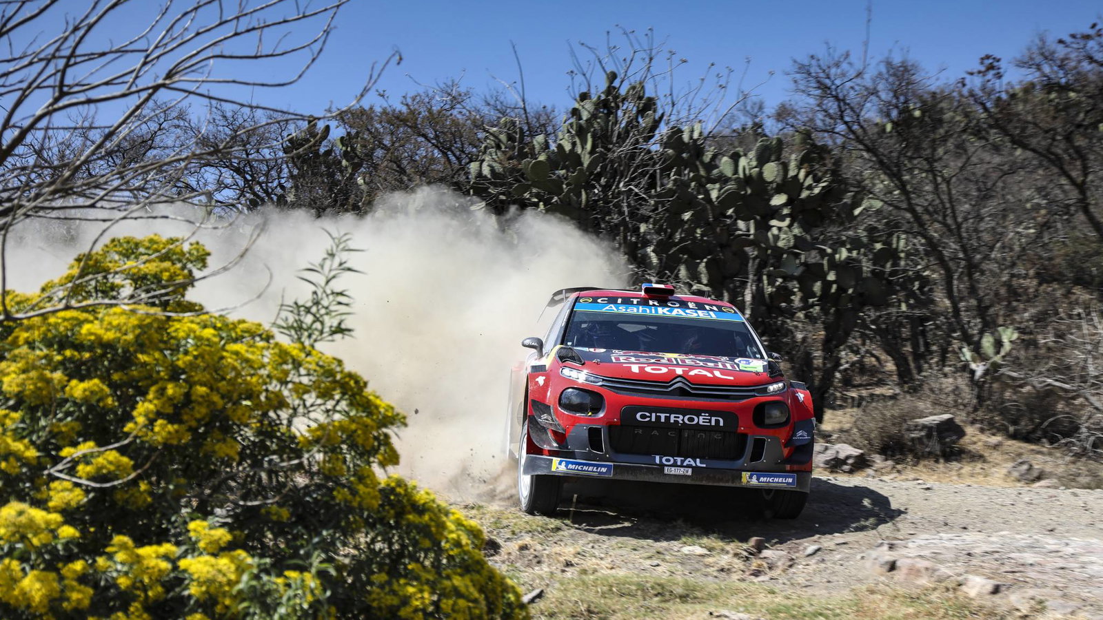 WRC: Rally Mexico - Classification after SS9
