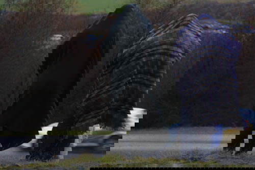 Mitsubishis dominate Production class.