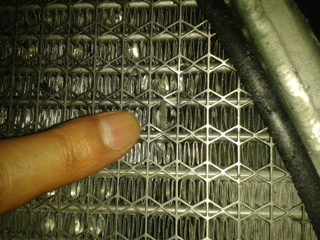 VIDEO: Nicky Hayden takes to streets of Putrajaya