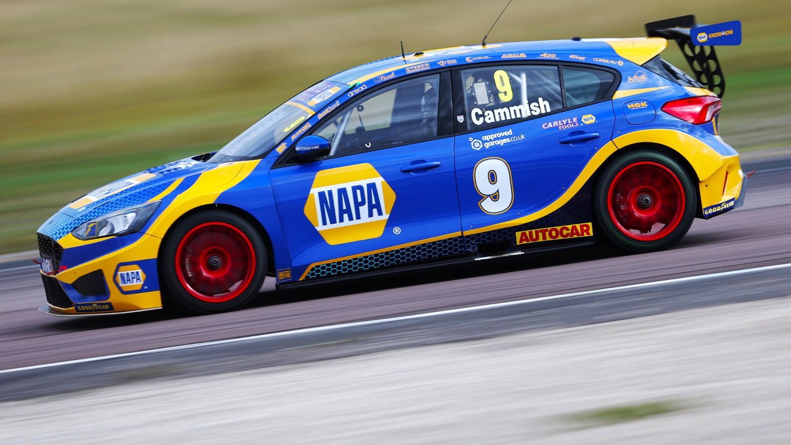 Dan Cammish (GBR) - NAPA Racing UK Ford Focus