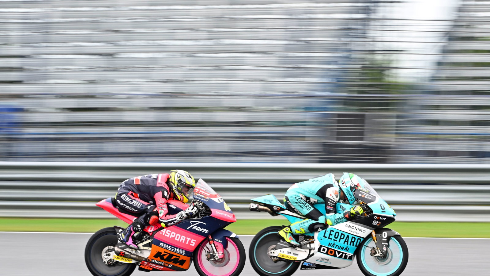 Dennis Foggia, Moto3, Thailand MotoGP, 30 September