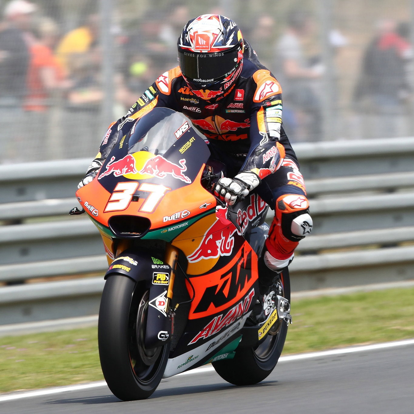 Pedro Acosta, Moto2, French MotoGP, 13 May