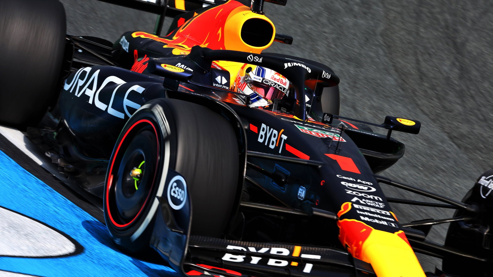 Max Verstappen (NLD) Red Bull Racing