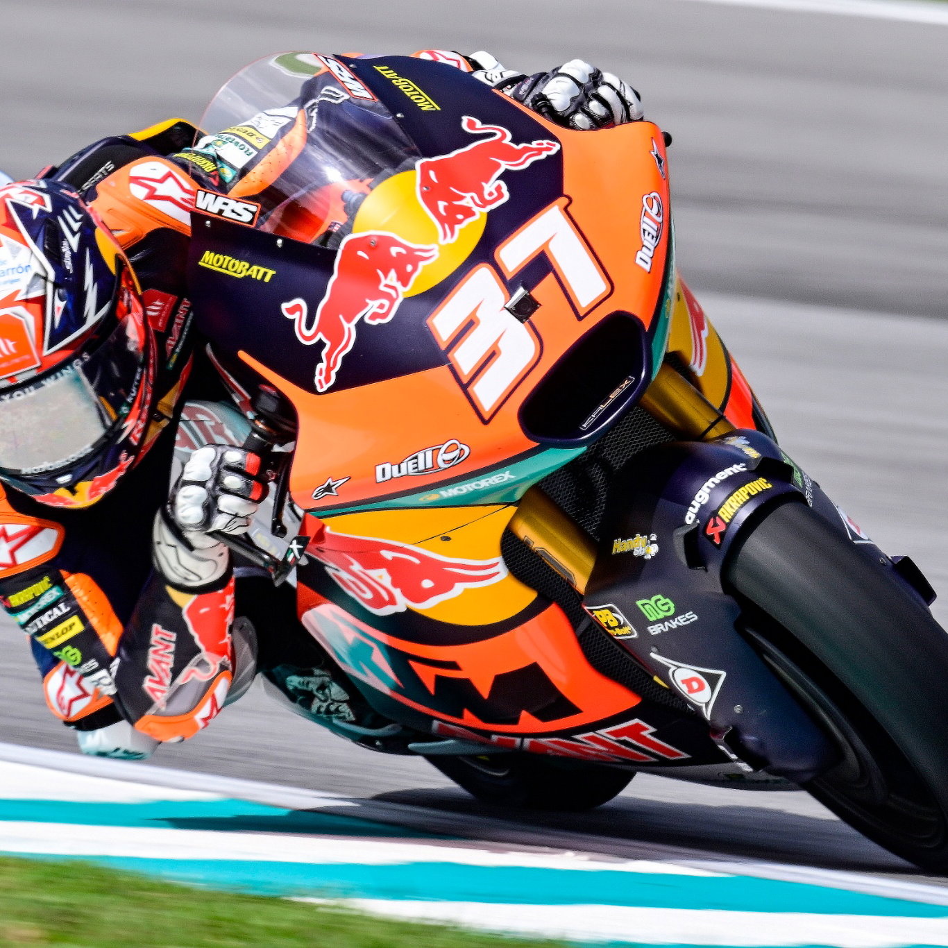 Pedro Acosta, Moto2, Malaysia MotoGP, 10 November